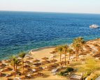 ??Egypt super oferte 29.10.2020!!!??