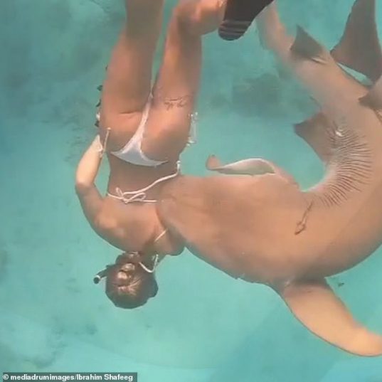 Ужасающий момент. Акула укусила туристку.