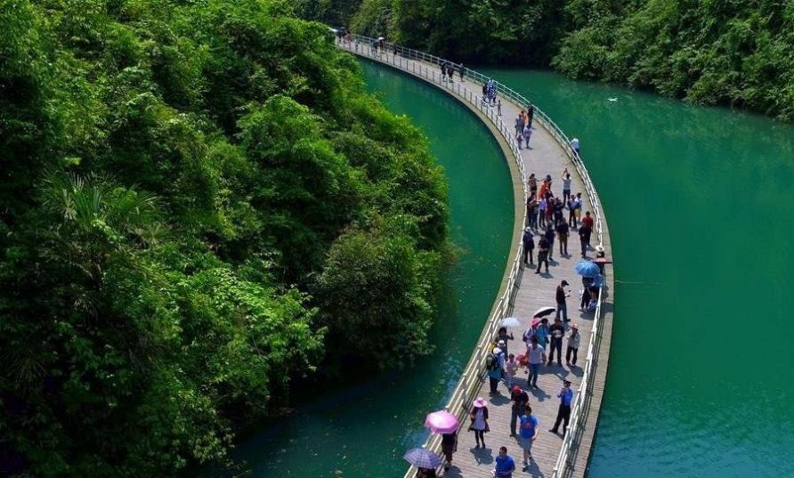 🇨🇳 В Китае на реке Хуншуйхэ есть "живой мост".