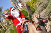 🌞Новый год в Хургаде, вылет 25.12/7 ночей!✅Звони сейчас!