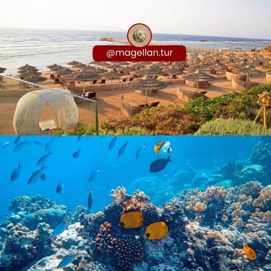 🔥CLEOPATRA LUXURY RESORT SHARM 5*🔥Исследуйте мир роскоши📌14.01.2025—20.01.2025 - от 880 €