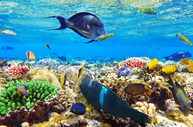 💋 Sharm💙 Egypt! 🐪 Лучшее время в декабре для вас!  Летим 12.12 !