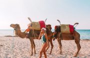 ☀❤ Декабрь в Sharm: море тепла и выгодных туров, вылет с 19.12!  🌊🍉