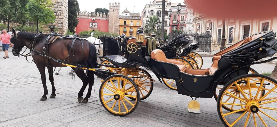 🌞ПОДБОРКА ВЕСЕННИХ ТУРОВ! 🌺март-апрель-май 2025