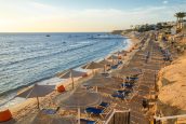 🌟ПРЕКРАСНЫЙ ОТЕЛЬ  🌟🌴 SULTAN GARDENS RESORT5*🌊 БЕЗВЕТРЕННАЯ бухта Шаркс🌊  1-я линия от моря 🌴 Шарм-эш-Шейх✈️ летим  17.01.2025