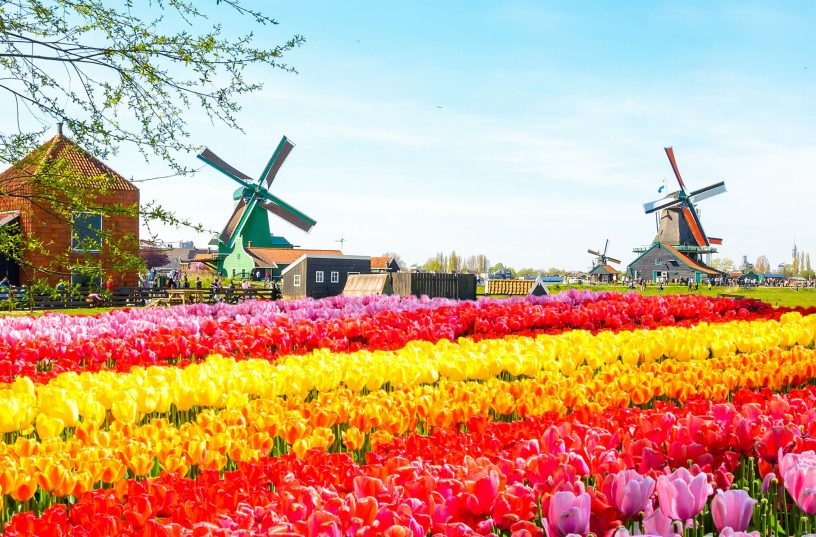 Экскурсионный Тур «Огни БеНи Люкса»  или «Тюльпаны, Бриллианты и .....Селёдка»