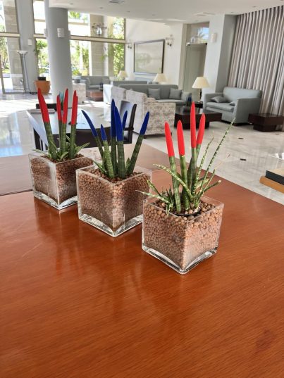 🌴🍾 Creta 2025! Отличный вариант отдыха для любителей вкусной кухни и красивых мест курорта Ханья! 💜