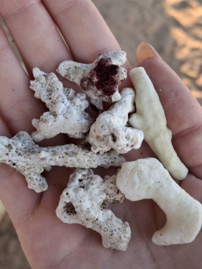 ✨ Sharm – лето в марте! 🌞 Вылет с 19.03! 14 ночей! 🌞