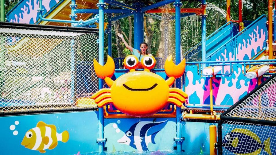 🍹 Bulgaria! Din 15.06! Golden Sands! Dolce Mare Sunshine Hotel! 🐠