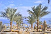 🇪🇬 Египет 📍 Шарм эль Шейх  🔥 Hot prices 🔥 🛫 24.02.25 | 10 ночей