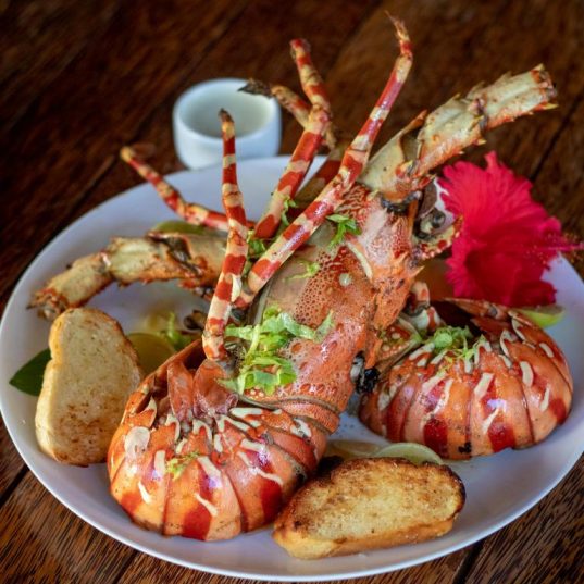 🌍 Tanzania! Экзотический отдых на 10 ночей! ✨C 12.03!🏝️