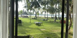 😍 Sri Lanca👄💙 Яркий февраль на океане!! 💚 Летим 15.02💛 Туры с ALL!