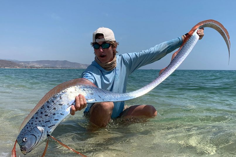 На Канарах отдыхающие нашли рыбу, предвещающую бедствия