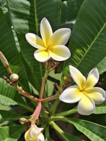 🌴 Egypt! Sharm! Din 09.03! 🌊