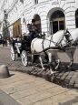 ВЕНСКИЙ ВАЛЬС  НА 8 МАРТА!