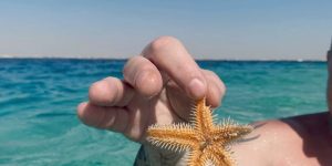 🐠️ Egypt! Hurghada!🌴 Погружайся в сказку Египта! 🌞