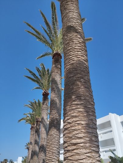 🔥Горит Египет!🔥Вылет✈️13.02 на 7 ночей🔥🔥От 285€✅Звони сейчас!