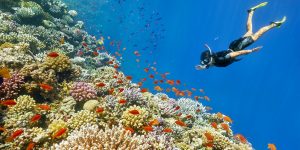 🌴Egypt!🌊Sharm El Sheikh 🐚