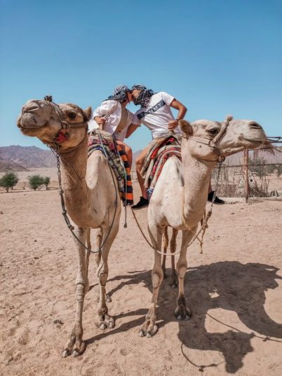 🐡😋 Egypt 2025! Sharm & Hurghada – кораловые рифы и активный отдых! 🩱🏊‍♀️