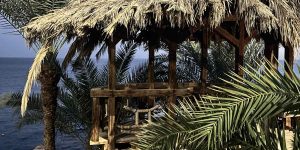 💋 Sharm💙 Egypt! 🐪 Летим 03.02! Super цены!