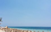💘Tunisia! Отдых на побережье Hammamet! 🌞✅