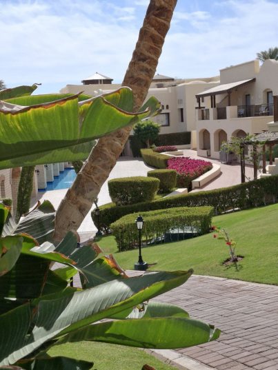 💋 Sharm💙 Egypt! Здесь нет зимы!🐪 Летим 05.03! !