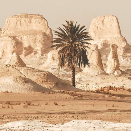 💋 Egypt🌴Sharm! Здесь вам будет хорошо! Летим 10.03! 💋🌴