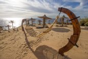 😍 Organizeaza-ti vacanta mult asteptata 🌴 EGIPT - Sharm El Sheikh!