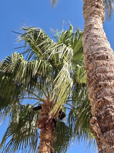 🌴 Sharm – лови солнечное настроение! ☀️ Вылет 11.03!  🌊