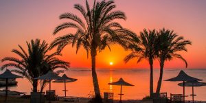 Marsa Alam from Chisinau!   Первый рейс 13.03 на 🌙7 ночей