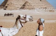 ☀️ Egypt! Sharm! Проведите свой классный отпуск под жарким солнцем у моря! 🌴
