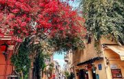 💋 Greece! 💙 Creta💙 Семейный отпуск для 3 взрослых и 1 ребёнка!  Летим 01.06!