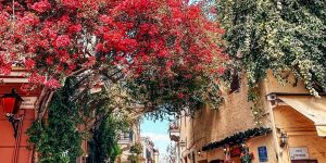 💋 Greece! 💙 Creta💙 Семейный отпуск для 3 взрослых и 1 ребёнка!  Летим 01.06!