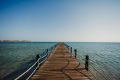 🍓🍓 Приятный отдых  🏖️ Stella Gardens Resort & Spa Makadi Bay 5* 💫ЕГИПЕТ 🏝️ХУРГАДА🌊 2-я линия от моря🌴 🌴✈️ летим  12.05.2025