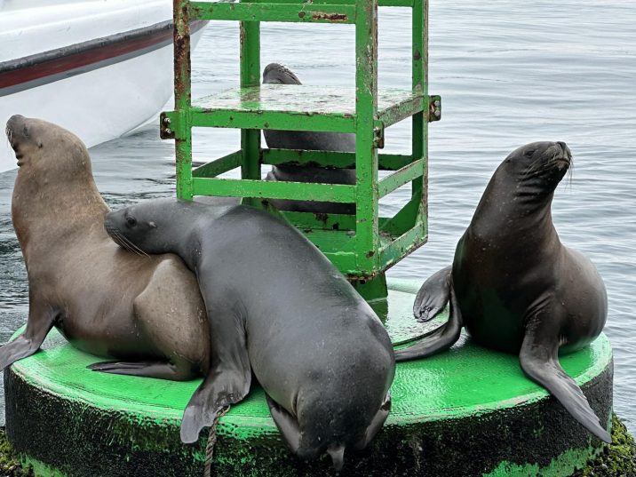 Групповой тур в Перу- 15 дней 📆 Даты: 27 сентября – 11 октября   💵 Цена: 2590€