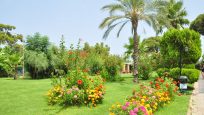 😍ZENA RESORT HOTEL  от 485€/чел ✈️вылет  19.05