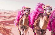 💋 Sharm 💙 Egypt! 🐪 С 18.04! 🌴11 ночей!! От 440 €!