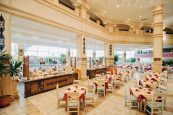 🎀🎀ГОРЯЧАЯ ЦЕНА 🏖️ Queen Sharm Resort (ex. Vera Club Queen Sharm Beach) 4*💫ЕГИПЕТ  💫ШАРМ🌊 1-я линия от моря🌴 🌴✈️ летим  29.04.2025