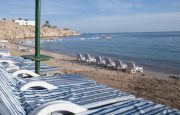 ✅Египет, Шарм Эль Шейх🔥☀️CONTINENTAL PLAZA BEACH 5*🔥✅Звони сейчас!