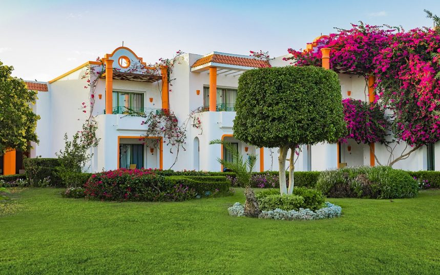 🌵Marsa Alam - Egipt !  ✈ Zbor Direct 29.04.25  de la 660 euro/ pers.