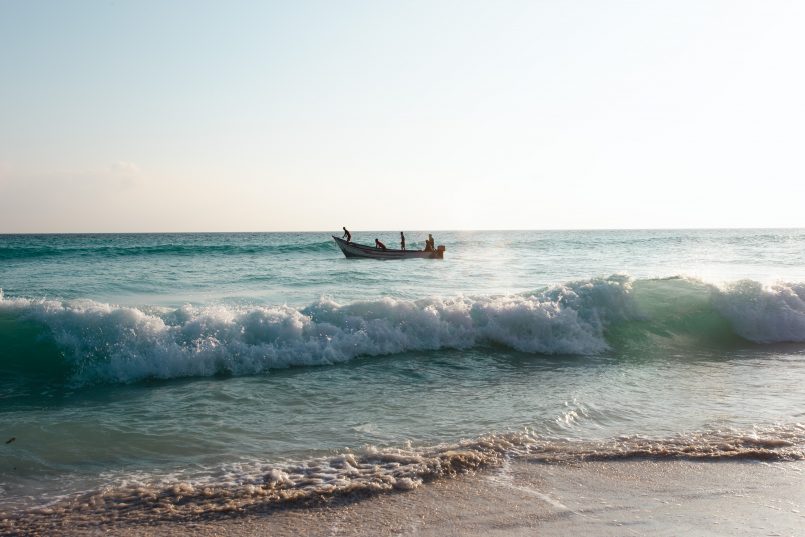 Групповой тур на остров Сокотра - 8 дней ⏰ДАТА: 2 - 10 марта 2026 💰СТОИМОСТЬ: 3150 евро