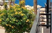 💙 Egypt! Hurghada! 💋 Ласковый сентябрь ждёт! С 10.09! 💙