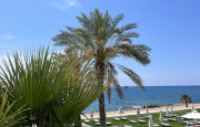 🍓 Cyprus!🌟 Не пропусти новую страну своего отдыха!🌟 Летим 24.05!🍓