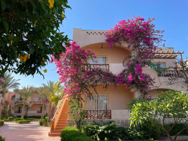 🌵Marsa Alam - Egipt !  ✈ Zbor Direct 08.05.2025  De la 530 euro /pers