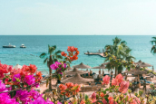 🌴 Роскошный отдых в Египте — Savoy Sharm El Sheikh 5★! 🌴