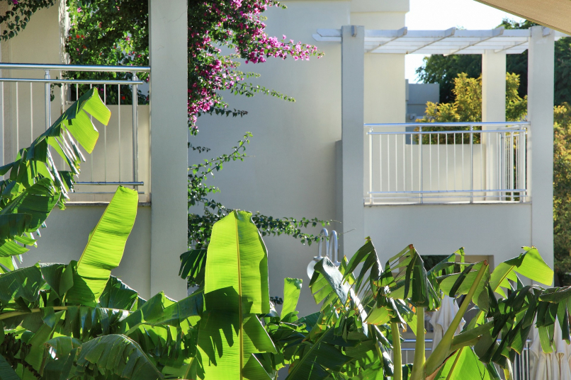 ❤️Топ Отель в центре Бодрума по вкусной цене!🔥От 497€🔥✅Бронируй сейчас!